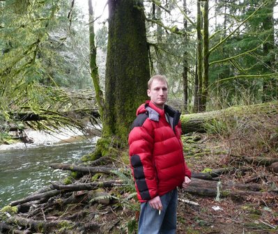 Leif beautiful trees  Oregon