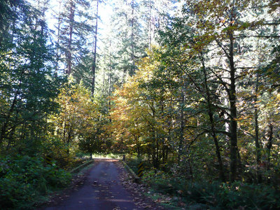 Fall Creek Oct.22, 2011