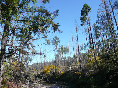 Fall Creek Oct.22, 2011