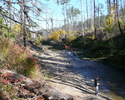 P1130277_副本.jpg (269.95 KiB) Viewed 43702 times Fall Creek...Oct.22, 2011