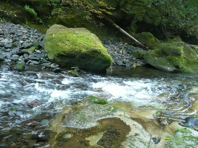 P1130197_副本.jpg (209.54 KiB) Viewed 58162 times Fall Creek...Oct.22, 2011