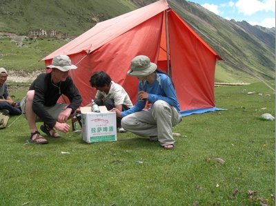 Tibetan Beer